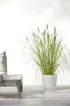Oslo 25 Wit sfeerfoto, Ecopots, tuincentrumoutlet.com