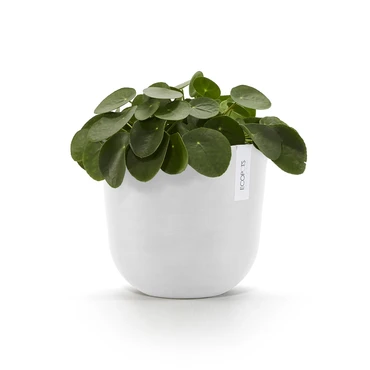 Oslo 25 Wit sfeer, Ecopots, tuincentrumoutlet.com
