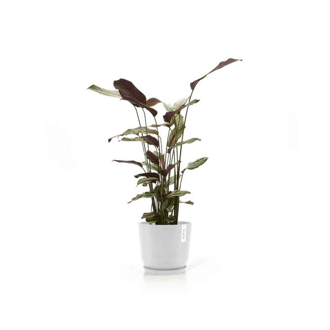 Oslo 25 Wit sfeerbeeld, Ecopots, tuincentrumoutlet.com