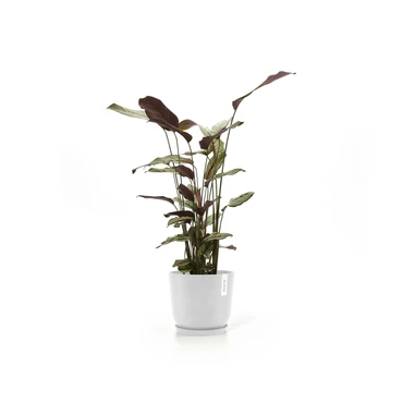 Oslo 25 Wit sfeerbeeld, Ecopots, tuincentrumoutlet.com