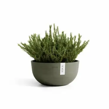 Oslo 30 Kaki, Ecopots plant, Tuincentrumoutlet.com