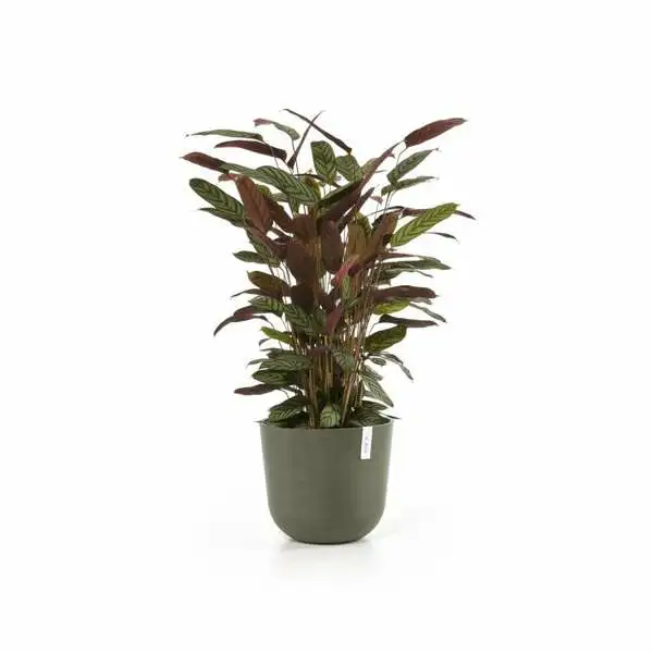 Oslo 35 Kaki sfeer, Ecopots, Tuincentrumoutlet.com