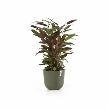 Oslo 35 Kaki sfeer, Ecopots, Tuincentrumoutlet.com