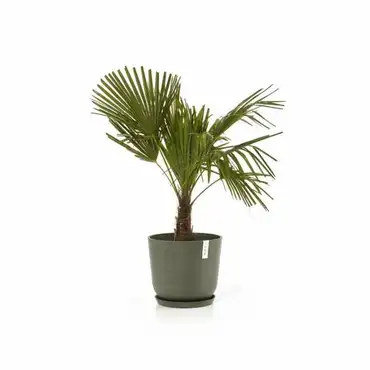 Oslo 35 Kaki voorbeeld, Ecopots, Tuincentrumoutlet.com