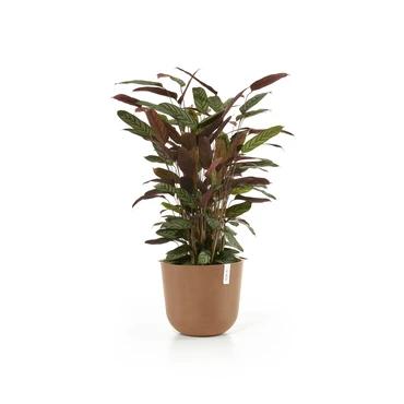 Oslo 35 Terra sfeer, Ecopots, tuincentrumoutlet.com