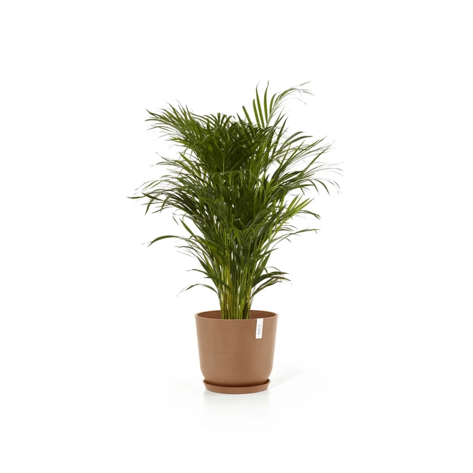 Oslo 35 Terra sfeerbeeld, Ecopots, tuincentrumoutlet.com
