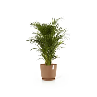 Oslo 35 Terra sfeerbeeld, Ecopots, tuincentrumoutlet.com