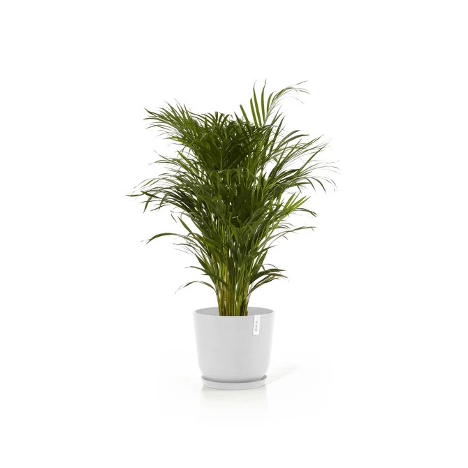 Oslo 35 Wit sfeerbeeld, Ecopots, tuincentrumoutlet.com