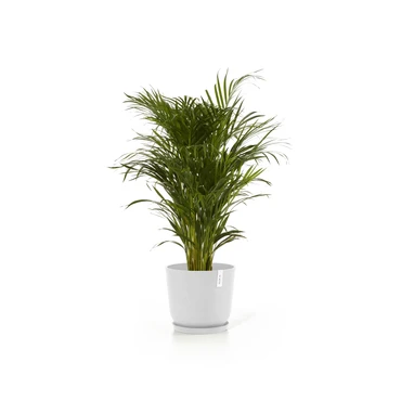 Oslo 35 Wit sfeerbeeld, Ecopots, tuincentrumoutlet.com