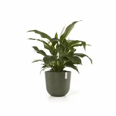 Oslo 45 Kaki sfeer, Ecopots, Tuincentrumoutlet.com