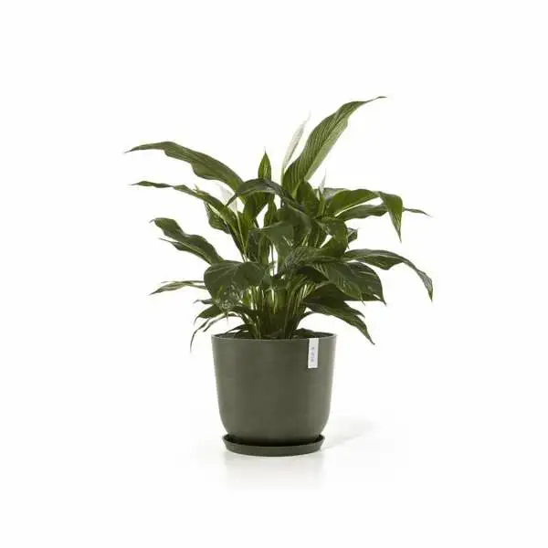 Oslo 45 Kaki sfeer voorbeeld schotel, Ecopots, Tuincentrumoutlet.com