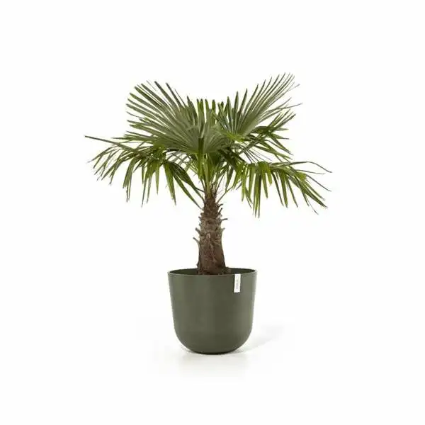 Oslo 55 Kaki, ECOPOTS sfeerbeeld, tuincentrumoutlet.com