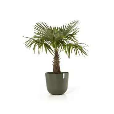 Oslo 55 Kaki, ECOPOTS sfeerbeeld, tuincentrumoutlet.com