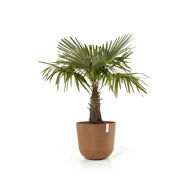Oslo 55 Terra sfeer, Ecopots, tuincentrumoutlet.com