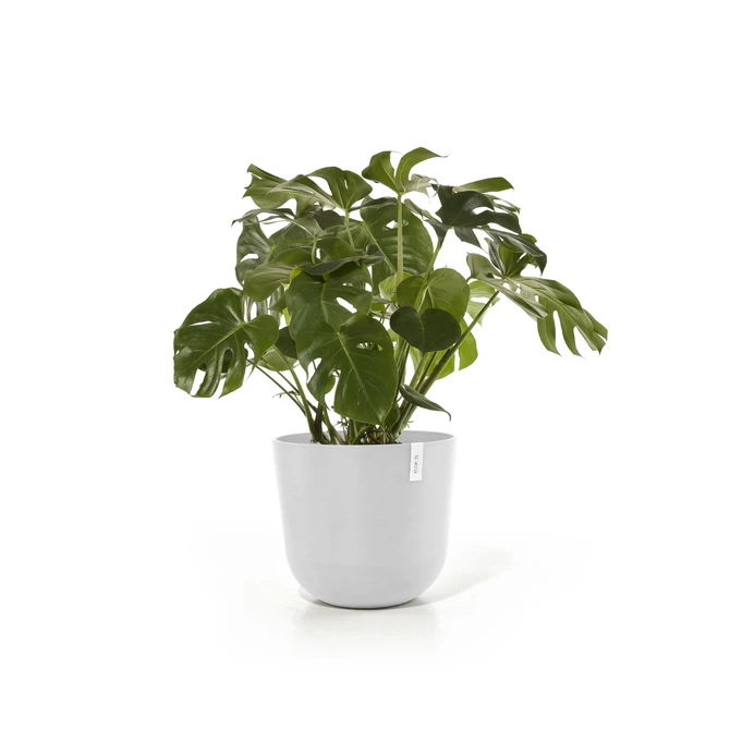 Oslo 55 Wit sfeer, Ecopots, tuincentrumoutlet.com