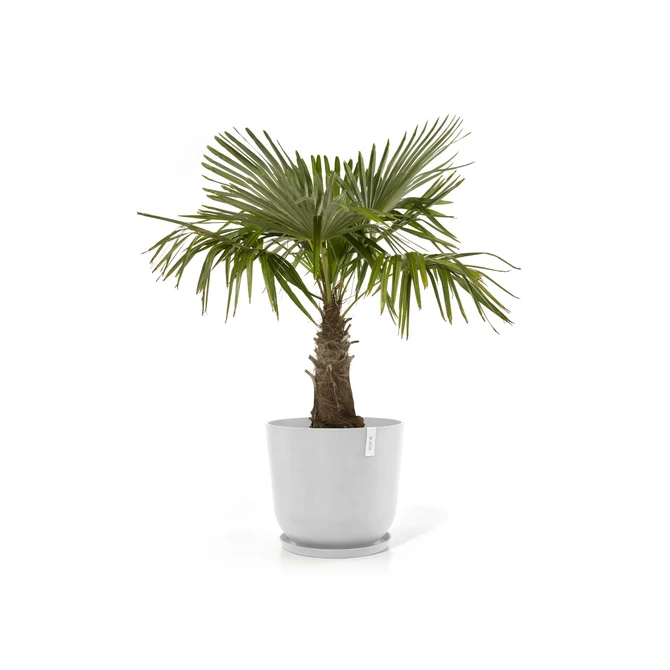 Oslo 55 Wit sfeerbeeld, Ecopots, tuincentrumoutlet.com