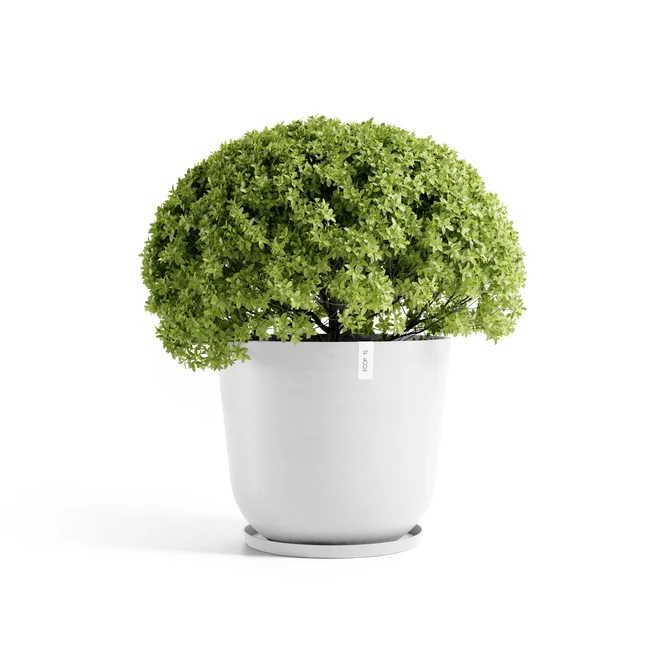 Oslo 65 Wit sfeerbeeld, Ecopots, tuincentrumoutlet.com