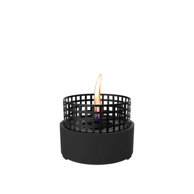 Paarl Black, Tenderflame, tuincentrumoutlet.com