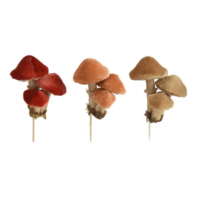 PADDENSTOELEN STEKER 25CM 3ASS, Koopman International, tuincentrumoutlet