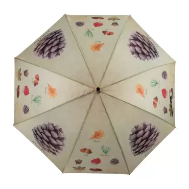 Paraplu bomen verzameling - afbeelding 2