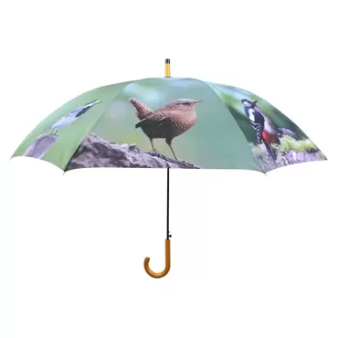 Paraplu vogels - afbeelding 1