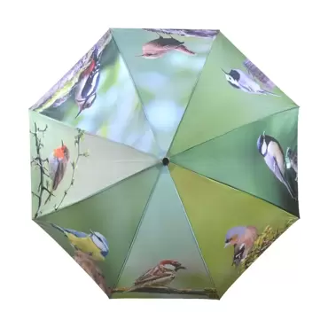 Paraplu vogels - afbeelding 2