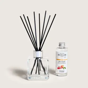 Parfumsticks Glaçon 100ml - Baies de Goji 1