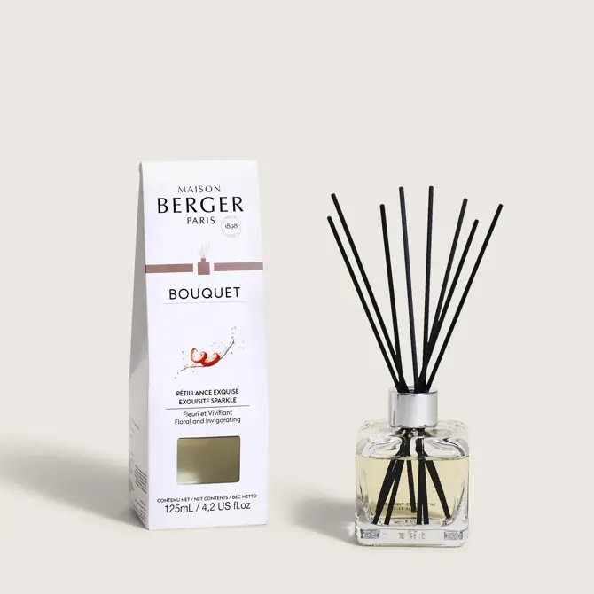Parfumsticks Glaçon 100ml - Pétillance Exquise 1