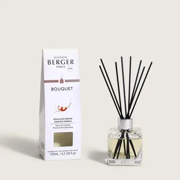 Parfumsticks Glaçon 100ml - Pétillance Exquise 1