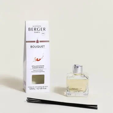 Parfumsticks Glaçon 100ml - Pétillance Exquise 4