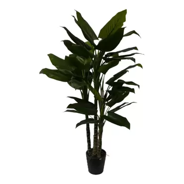Philodendron - 195 cm