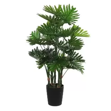 Philodendron in pot - 70 x 120cm - afbeelding 3