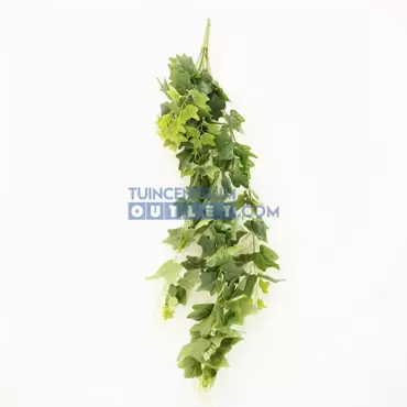 Planten hangers l100cm a3, Noach, plant 2, www.tuincentrumoutlet.com