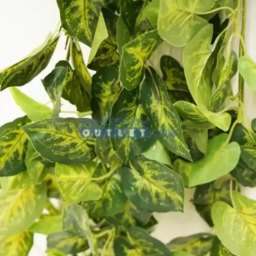 Planten hangers l100cm a3, Noach, plant 3 closeup, www.tuincentrumoutlet.com