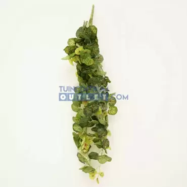 Planten hangers l100cm a3, Noach, plant 1, www.tuincentrumoutlet.com