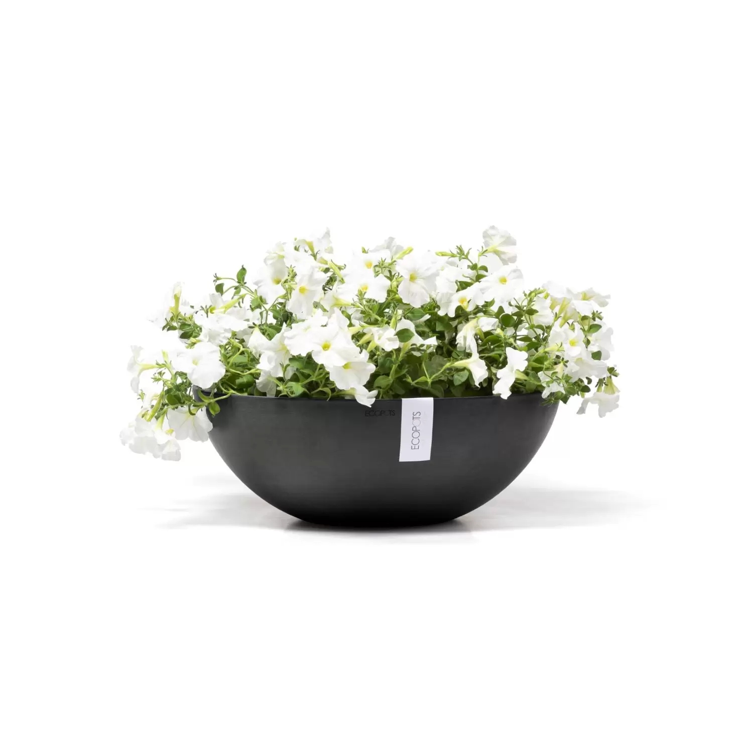 Plantenschaal Vienna 50 cm Donkergrijs Antraciet Ecopots - Tuincentrum  Outlet