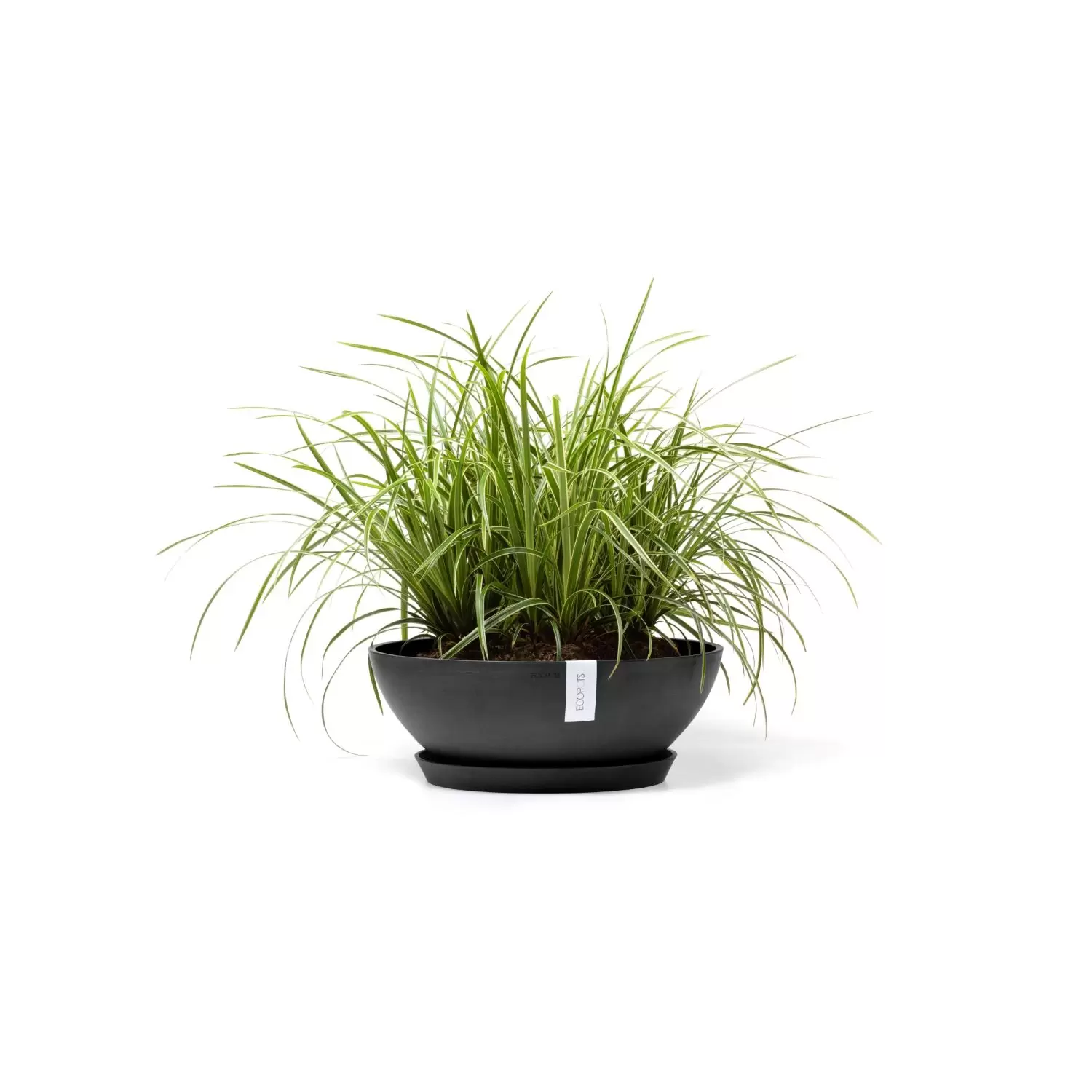 Plantenschaal Vienna 50 cm Donkergrijs Antraciet Ecopots - Tuincentrum  Outlet