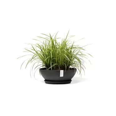 Vienna Dark Grey 50 sfeer met onderzetter, Ecopots, tuincentrumoutlet