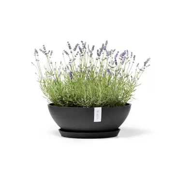 Vienna Dark Grey 50 sfeerfoto met onderzetter, Ecopots, tuincentrumoutlet