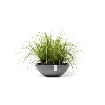 Vienna Grey 50 sfeer, Ecopots, tuincentrumoutlet