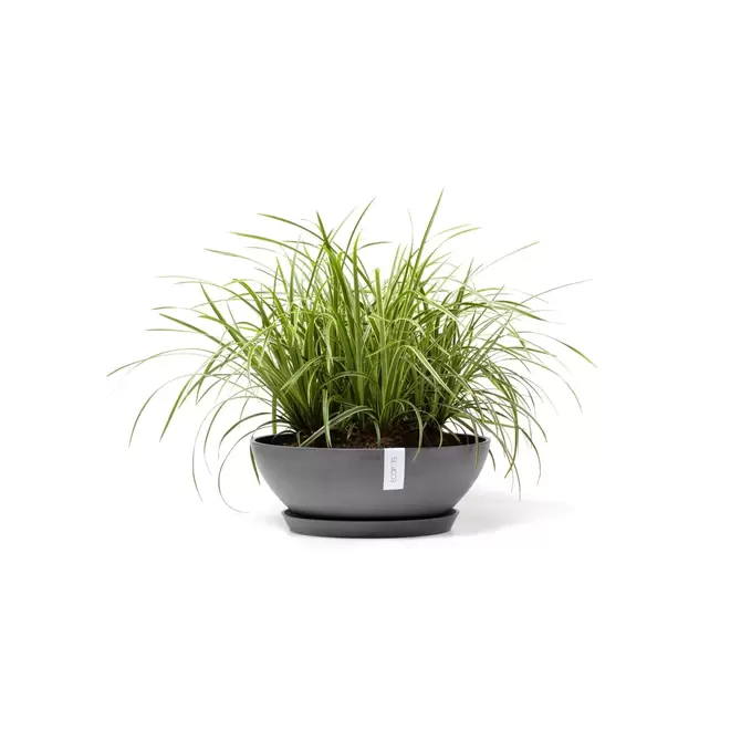 Vienna Grey 50 sfeer met onderzetter, Ecopots, tuincentrumoutlet