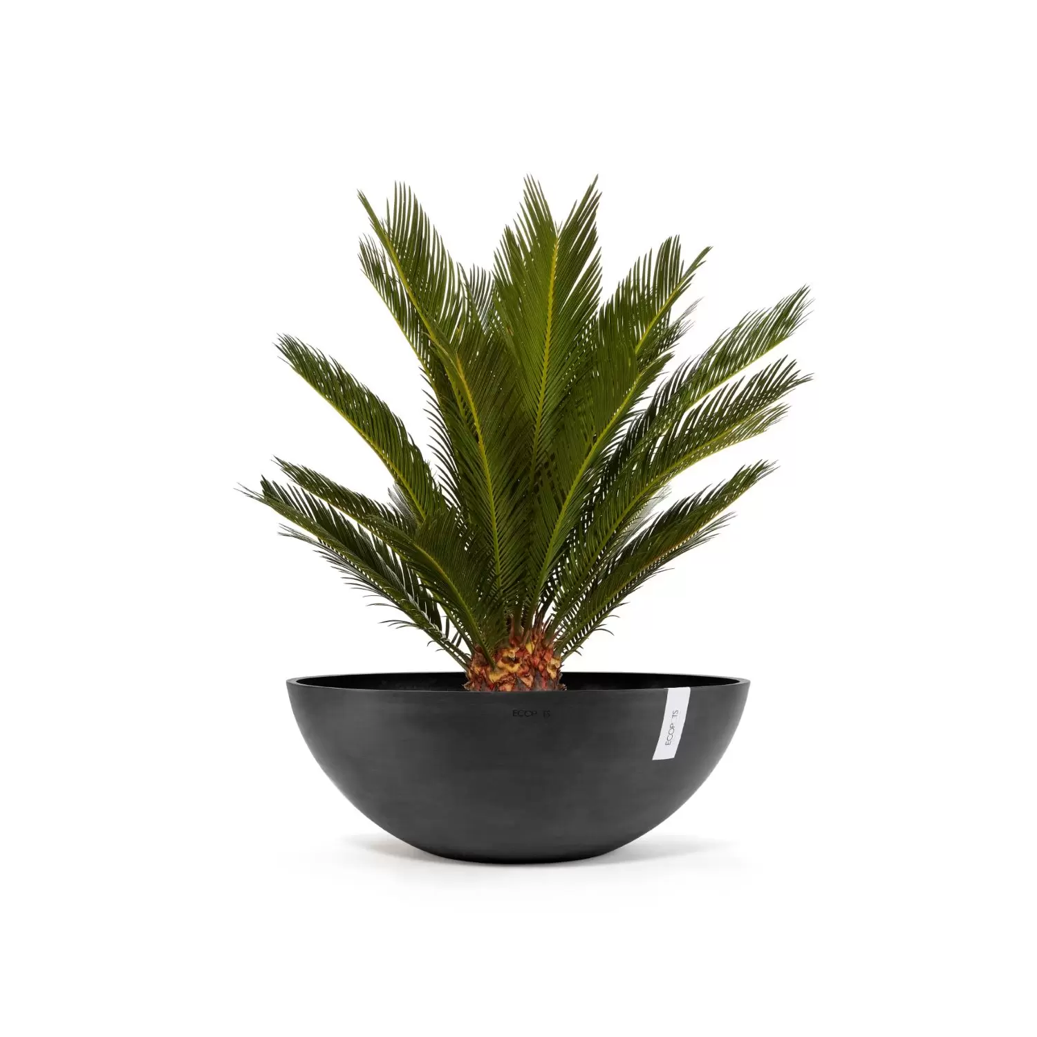 Plantenschaal Vienna 70 cm Donkergrijs Antraciet Ecopots - Tuincentrum  Outlet