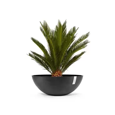 Vienna Dark Grey 70 sfeer, Ecopots, tuincentrumoutlet