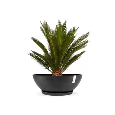 Vienna Dark Grey 70 sfeer met onderzetter, Ecopots, tuincentrumoutlet