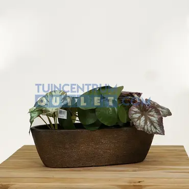 Planter tokio ovaal l40b14h12cm goud, Hs potterie, Tuincentrum Outlet