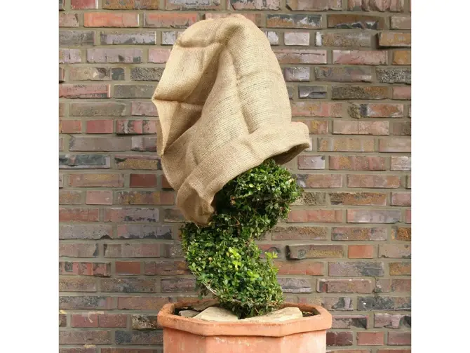 Planthoes jute s 80x60cm 2st sfeer, Videx, Tuincentrumoutlet.com