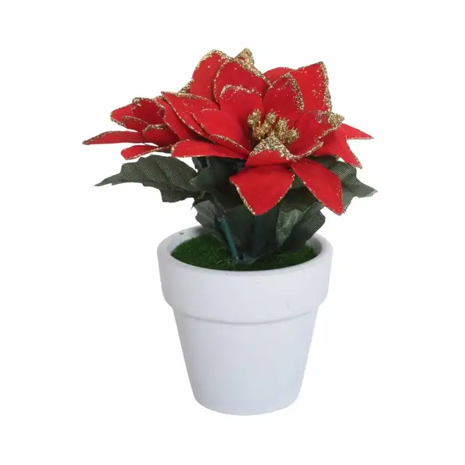 POINSETTIA BLOEM ROOD IN POT, Koopman, tuincentrumoutlet