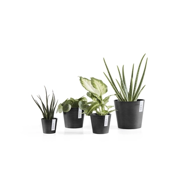 Pot amsterdam d17cm donkergrijs serie, Ecopots, tuincentrumoutlet.com