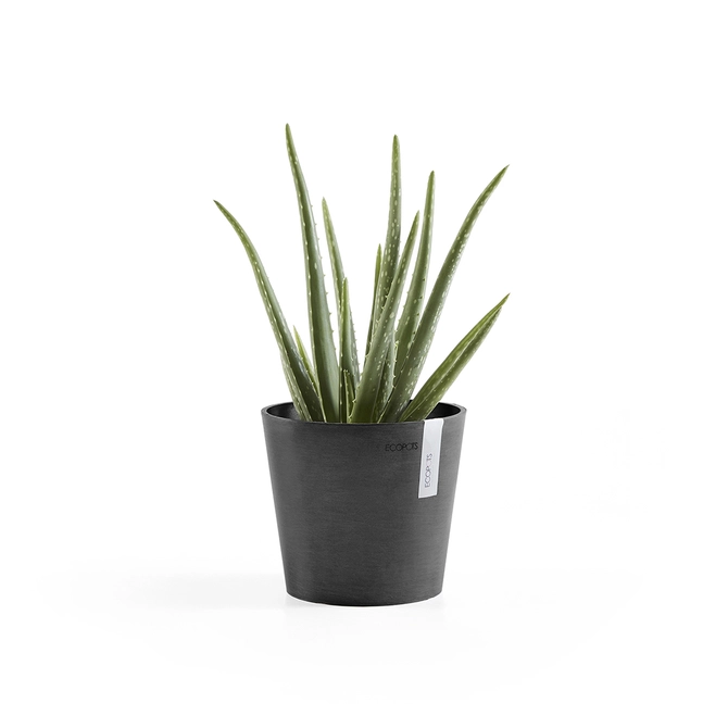 Pot amsterdam d17cm donkergrijs sfeer, Ecopots, tuincentrumoutlet.com