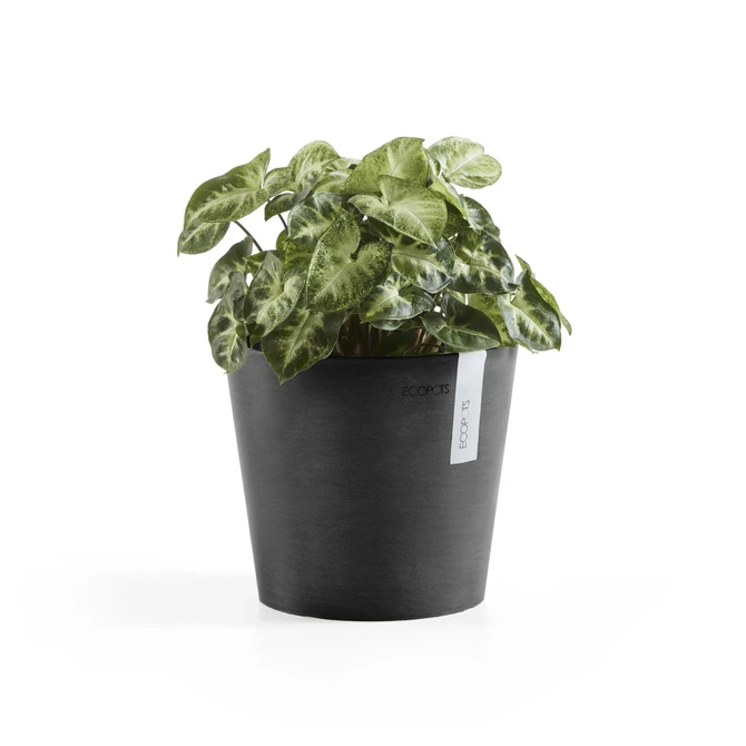 Pot amsterdam d17cm donkergrijs sfeerbeelden, Ecopots, tuincentrumoutlet.com